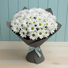 Букет цветов из:  Хризантемы #REPLACE_PRED# Переволоцкий