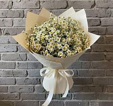 Букет цветов из:  Ромашки #REPLACE_PRED# Переволоцкий