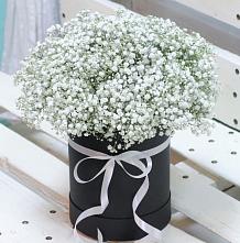Цветочная композиция из Гипсофила в шляпной коробке #REPLACE_PRED# Переволоцкий