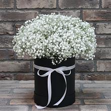 Цветочная композиция из Гипсофила в шляпной коробке в Переволоцкий