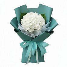 Букет цветов из:  Гортензия #REPLACE_PRED# Переволоцкий